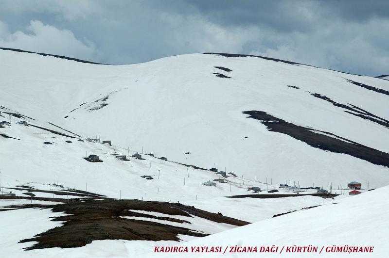 TÜRKİYE'NİN DAVOS'U GÜMÜŞHANE 