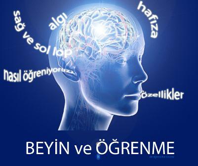 BEYİN TEMELLİ ÖĞRENMENİN ANALİZİ  