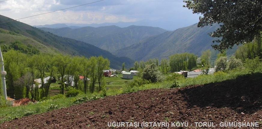 GÜMÜŞHANE MEYVE (ELMA, ARMUT..vs) TOHUMLARI İLE AŞI KALEMLERİNİN YURT DIŞINA KAÇIRILIŞININ ÖYKÜSÜ? 