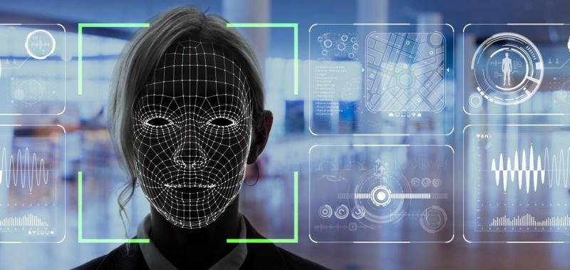 UNDERSTANDING THE HUMAN CHARACTER WITH THE BRAIN AND FACE LINES