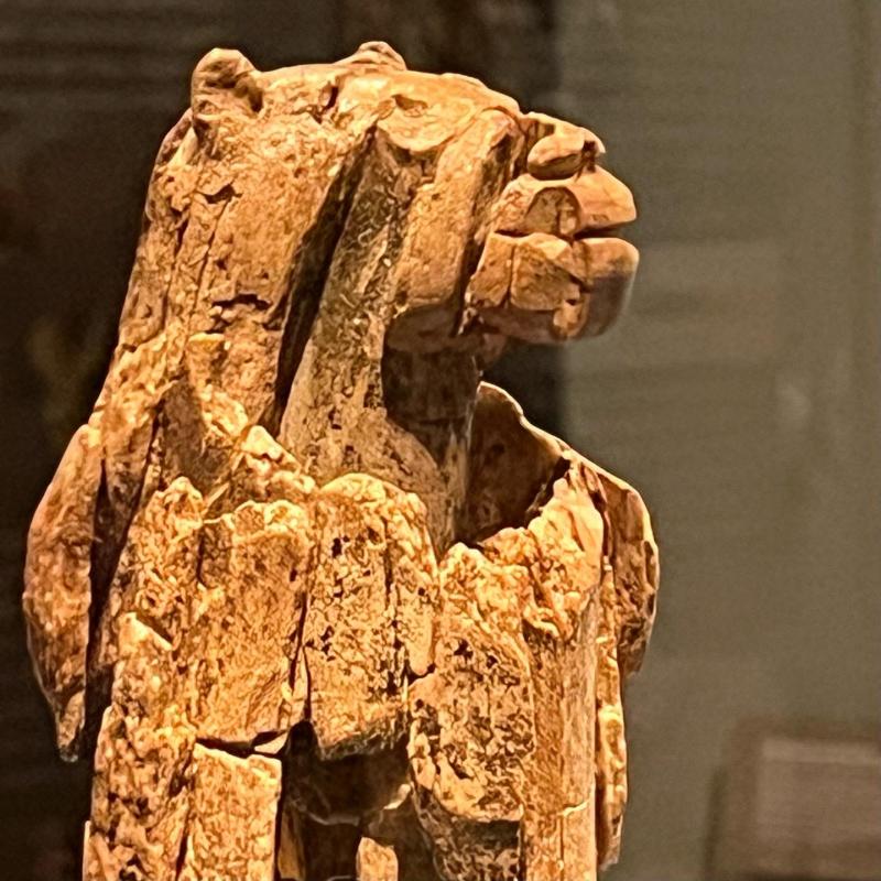 AVRUPA’NIN ASLAN ADAMI